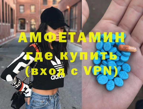 ПСИЛОЦИБИНОВЫЕ ГРИБЫ Гусев