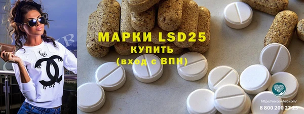 ПСИЛОЦИБИНОВЫЕ ГРИБЫ Гусев