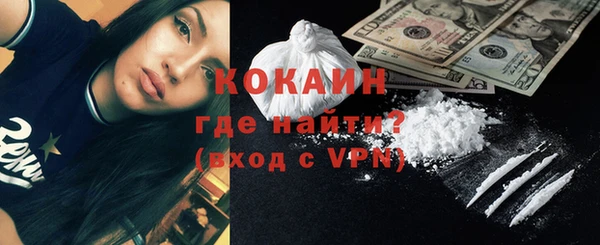 ПСИЛОЦИБИНОВЫЕ ГРИБЫ Гусев