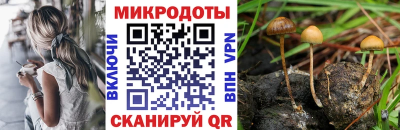 Псилоцибиновые грибы GOLDEN TEACHER где купить наркотик Гаврилов Посад